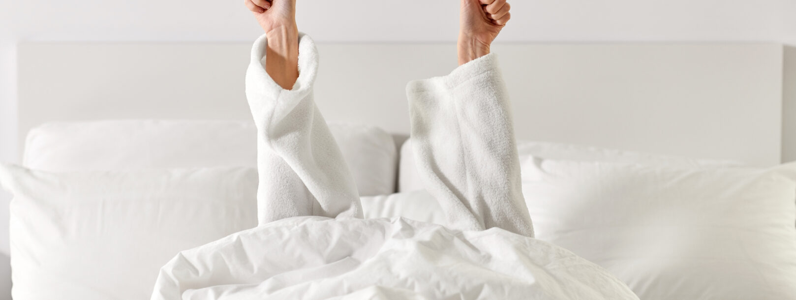 Bedste senge i test