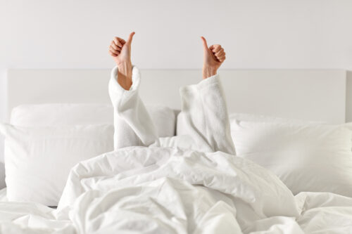 Bedste senge i test